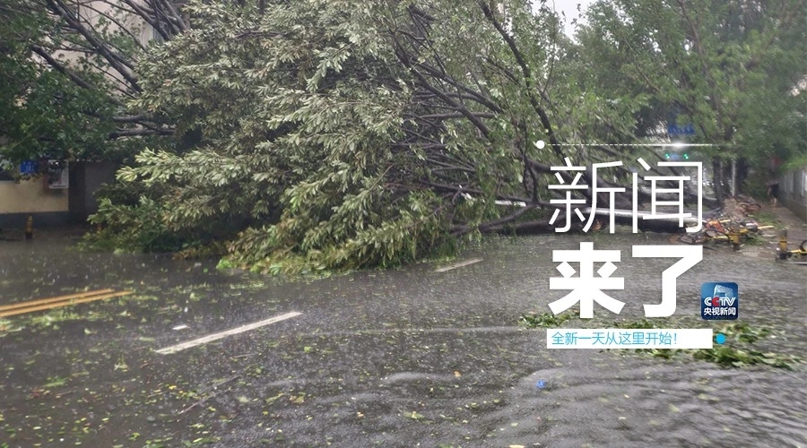“山竹”怒過，高空塔吊你還好嗎？